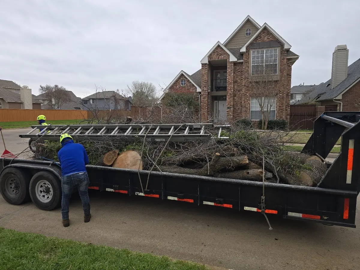 Expert Tree Removal with proper safety equipment in Bruceville